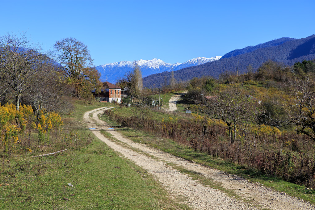 Tsebelda